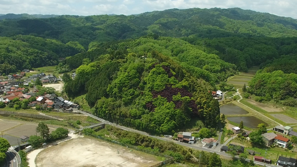 布部要害山城