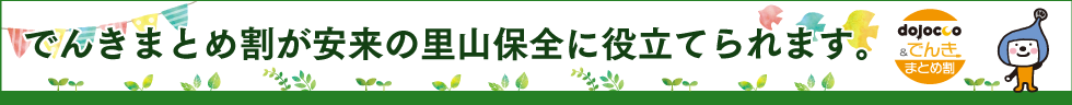 でんきまとめ割