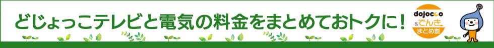 でんきまとめ割