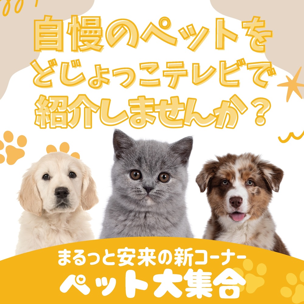 ペットチラシHP